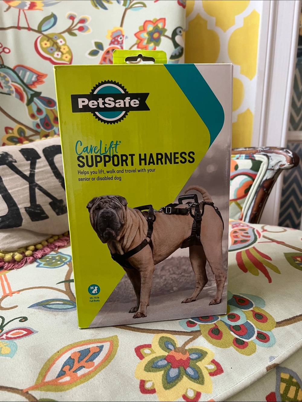 PetSafe CareLift Support Harness Box in Lime Green and Teal